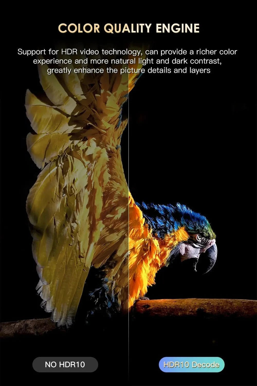 HONGTOP H20PRO Smart TV Box WiFi6 Android 10 6K 4K 3D Media Player TV Box Android 2.4G&5G WIFI Very Fast 1080P Set Top Box - Eleconic